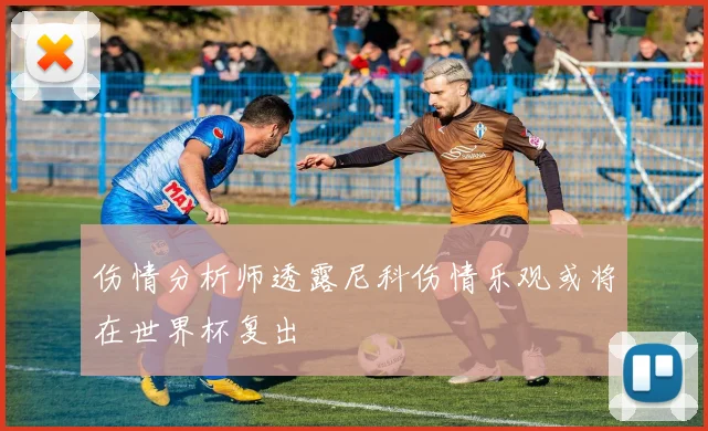 伤情分析师透露尼科伤情乐观或将在世界杯复出