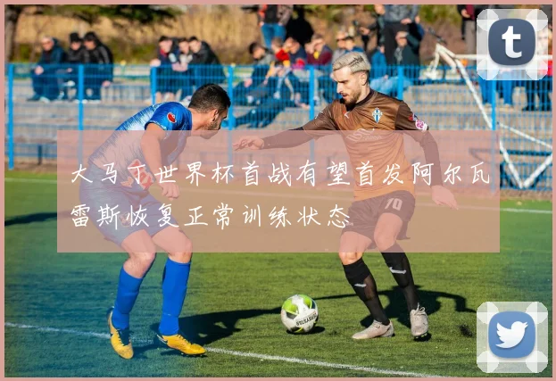 大马丁世界杯首战有望首发阿尔瓦雷斯恢复正常训练状态